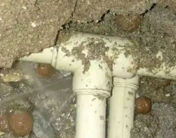 大名测漏水多少钱