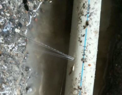 大名测漏水哪家好