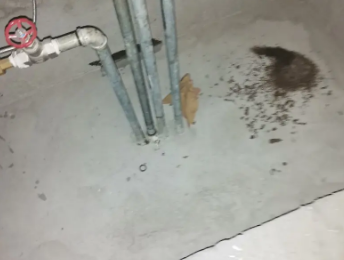 大名卫生间测漏水价格明细